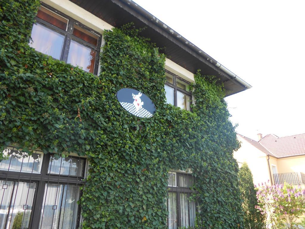 White Rabbit Hall Otel Poděbrady Dış mekan fotoğraf